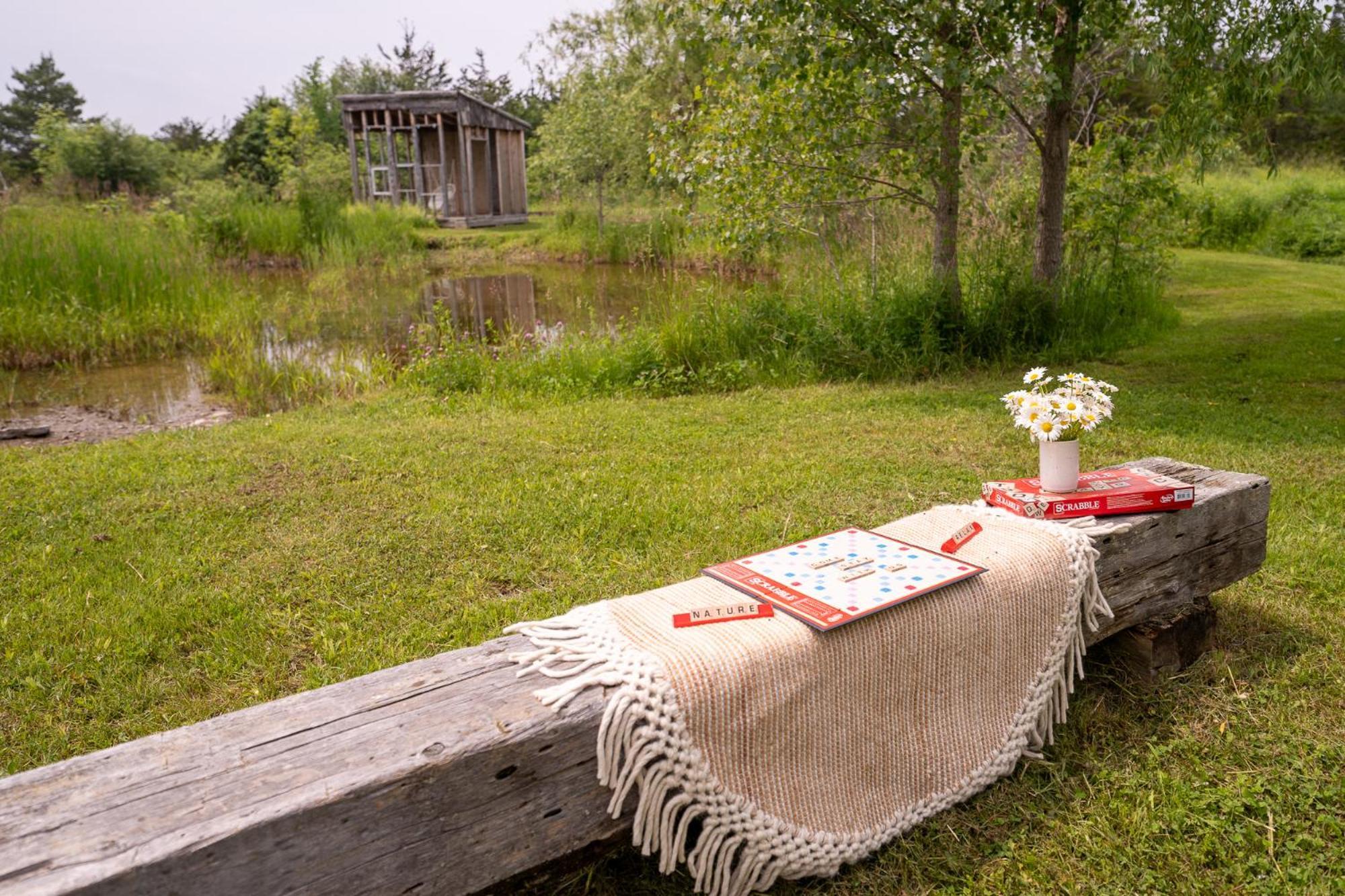 Owl'S Nest Suites Carrying Place Ngoại thất bức ảnh